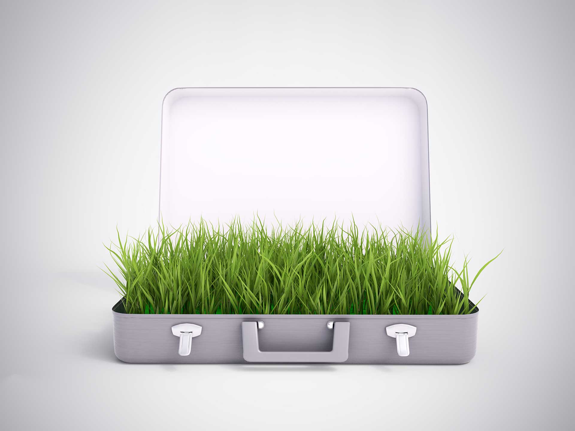 Grass growing out of a briefcase