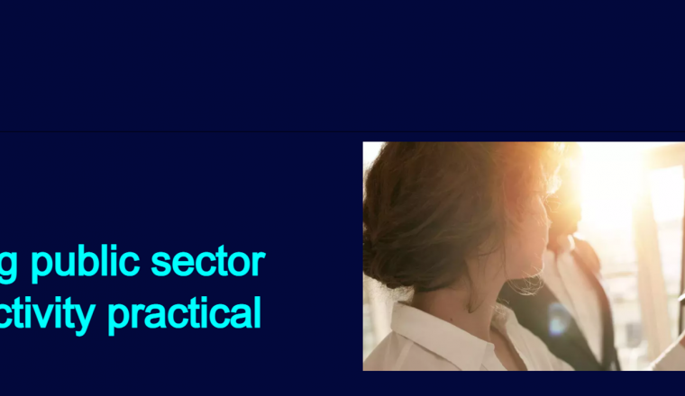 Alternate cover of Making Public Sector Productivity practical report in conjunction with Capita