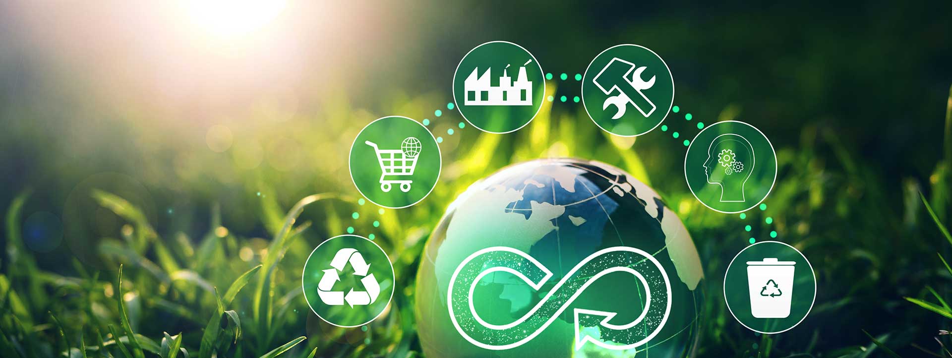 Graphic of circular economy