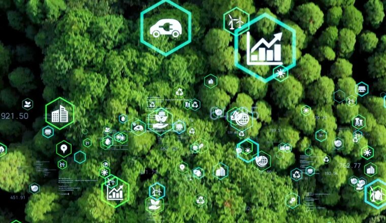 A canopy of trees overlayed with measurement icons